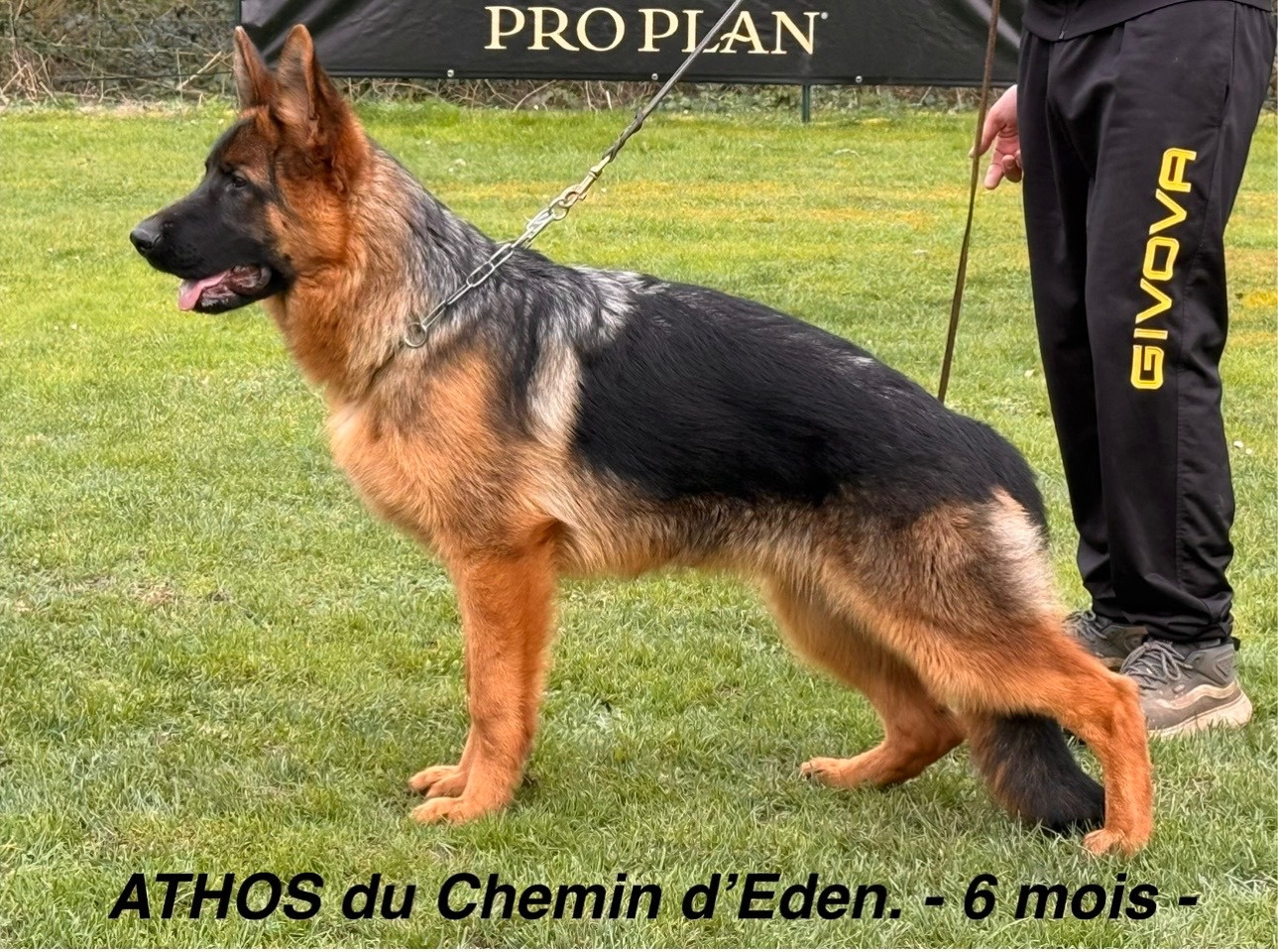 ATHOS Du chemin d Eden